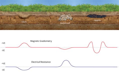 The Geomicrobiology of Mafic Key Kissimmee: A Study on Microbial Interactions